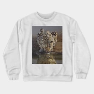 animal leopard Crewneck Sweatshirt